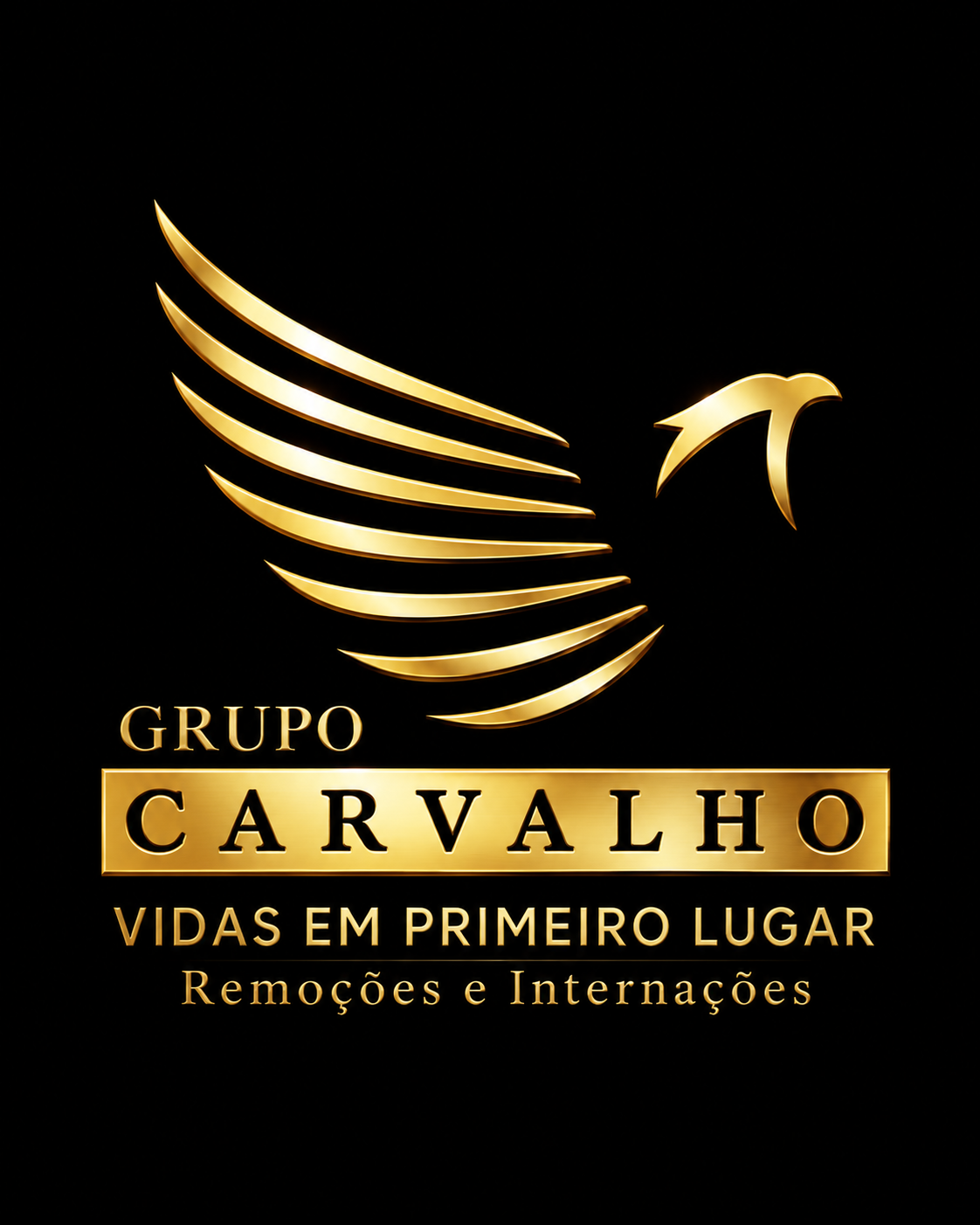 Grupo Carvalho — Remoções e Internações